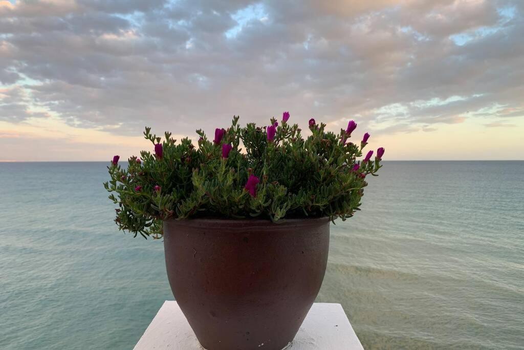 Amazing Frontline Sea Views Studio Apartment Castillo Del Vigia Torremolinos Exteriér fotografie